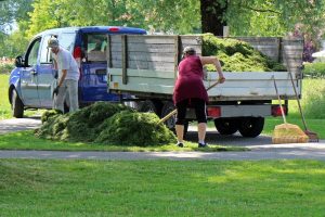 Professionele tuinman in Houten verzorgt tuinonderhoud en plantverzorging voor een mooie, gezonde tuin