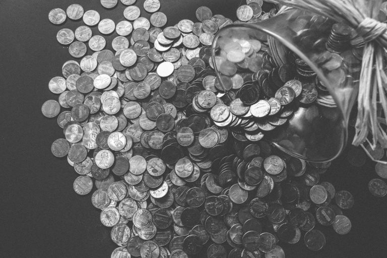 Catalogi en insteekalbums voor georganiseerde munt- en postzegelverzameling